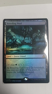 【北境卡牌】万智牌 滋生之池 Breeding Pool RVR 英文日印闪 金