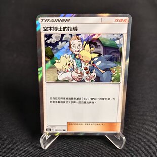 宝可梦四弹 指导 PTCG 空木博士 AS6A 北境卡牌 繁中