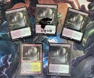 万智牌摩登新篇2MH2 新绿陵墓 Verdant Catacombs 扩画老框 平/闪