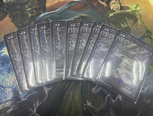 【北境卡牌】万智牌 VOW 腥红婚誓 沼泽 简中闪大画地编号272273