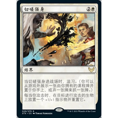 【北境卡牌】万智牌 切磋强身 Sparring Regimen STX 中/英/日文