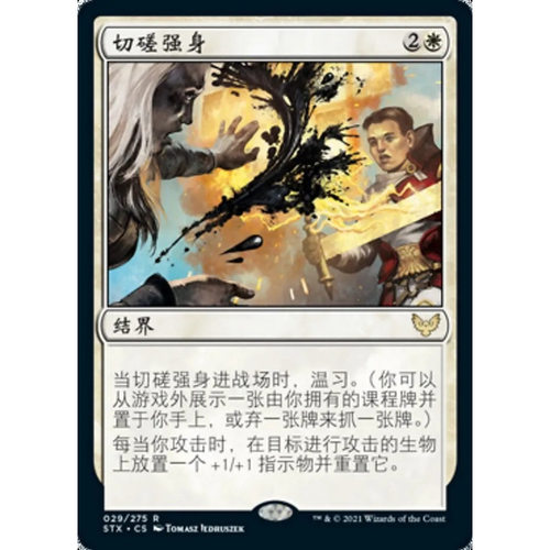 【北境卡牌】万智牌 切磋强身 Sparring Regimen STX 中/英/日文