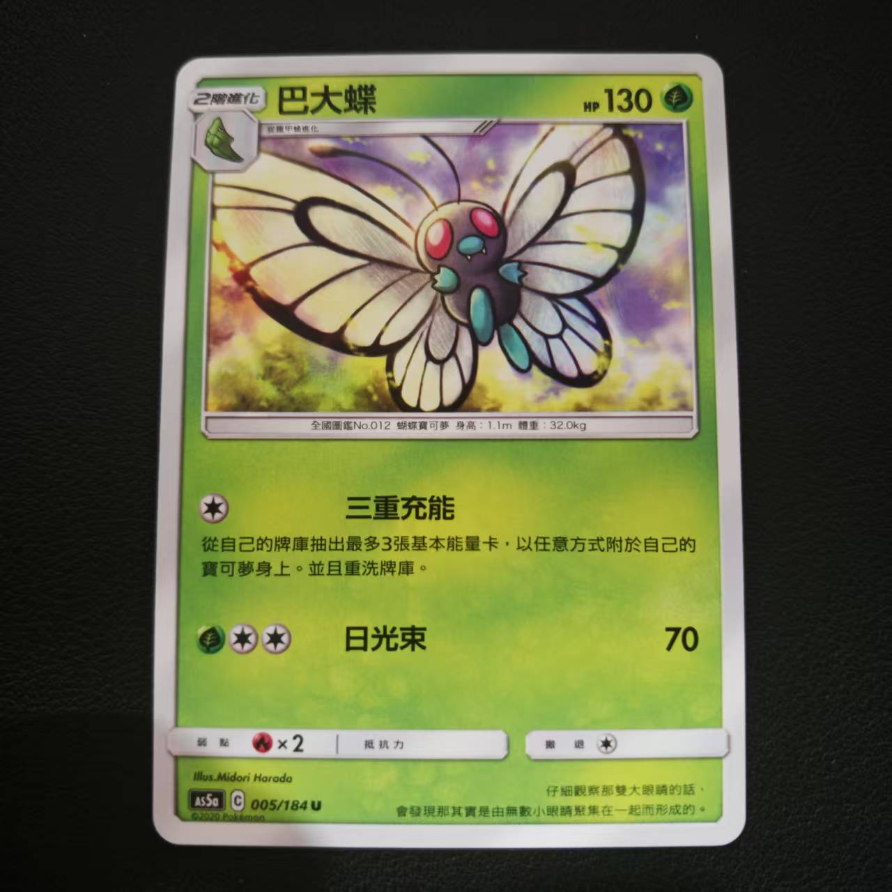 PTCG卡牌繁中日月巴大蝶U平