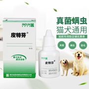 Dung dịch Pittfen 20ml mèo liếm nấm chó bệnh da microspores Malassezia lau tóc thả - Cat / Dog Medical Supplies