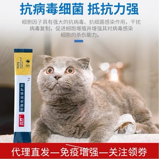 优养幼猫免疫保护剂宠物猫咪体虚抗病毒预防猫鼻支提高皮肤抵抗力