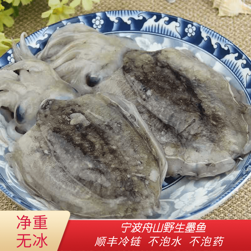(顺丰)宁波舟山特大新鲜大墨鱼无泡水乌贼象山野生大目鱼原汁原墨