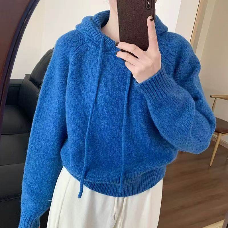 2025新款韩版慵懒风蓝色连帽针织毛衣女秋冬季宽松长袖内搭上衣潮