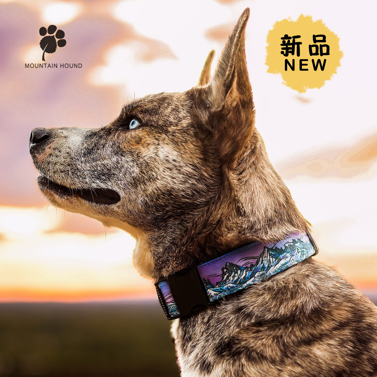山野犬 冰川山脉 半P链狗项圈项圈/肩带