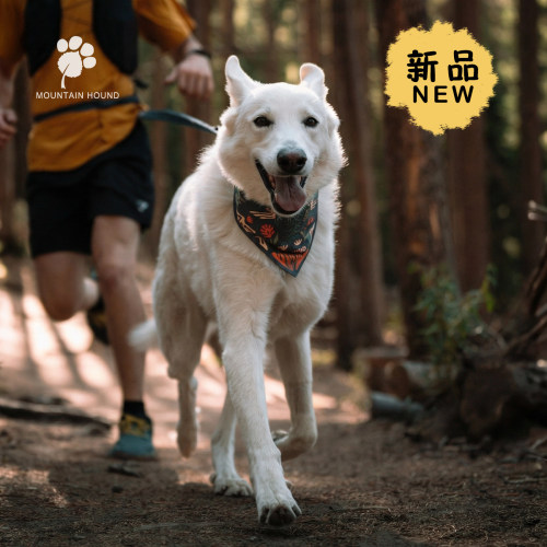 山野犬  狗口水巾三角巾大中型犬金毛萨摩耶哈士奇围兜户外狗碗