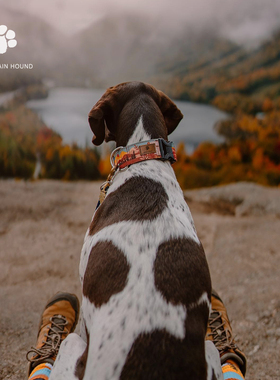 山野犬 Let’s hike 秋季领 中大型犬项圈半P链牵引绳金毛边牧