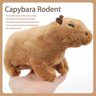 卡皮吧啦玩偶capybara水豚Rodent毛绒玩具比车后窗车尾摆件公仔