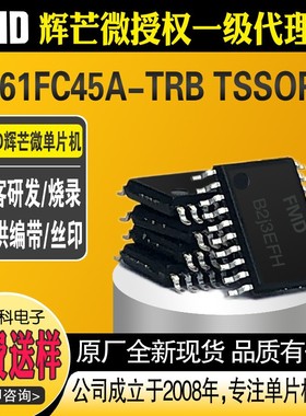 FT61FC45A-TRB封装TSSOP20芯片单片机MCU主控IC微控制器