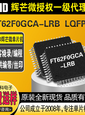 FMD触摸MCU FT62F0GCA-LRB LQFP48 单片机TouchMCU 42个Touch Key
