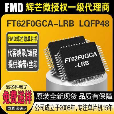 FMD触摸MCU FT62F0GCA-LRB LQFP48 单片机TouchMCU 42个Touch Key