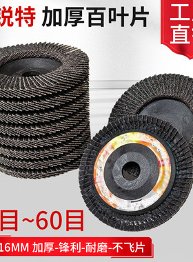 特锐特百叶轮打磨片角磨机用
