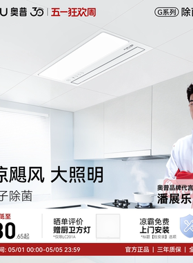 奥普厨房凉霸厨房照明二合一集成吊顶吹风扇厨房冷风机凉霸LC201A