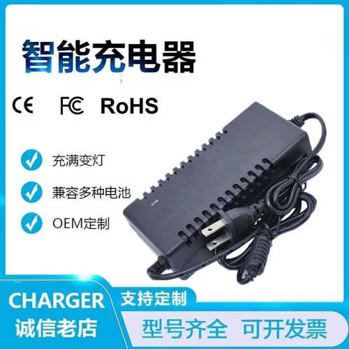 锂电池组25.2V2A3A4A5A智能充电器6串筋膜枪户外电源24V25V26V