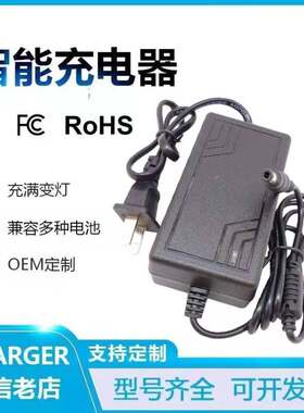 6V玩具车童车铅酸锂充电器6V4Ah5ah10AH20AH蓄电池充电线适配器