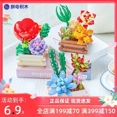 拼奇积木花多肉植物盆栽