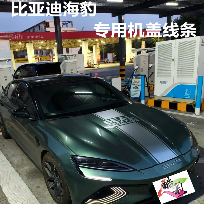 适用于比亚迪海豹ev2025款专用机盖线条装饰贴运动风格改装贴膜