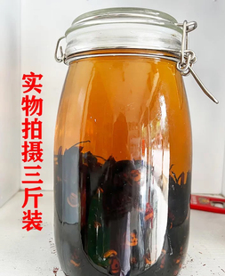 3年泡活马蜂土蜂大土蜂大黑蜂大虎头蜂红娘泡酒3斤装刘定茂店