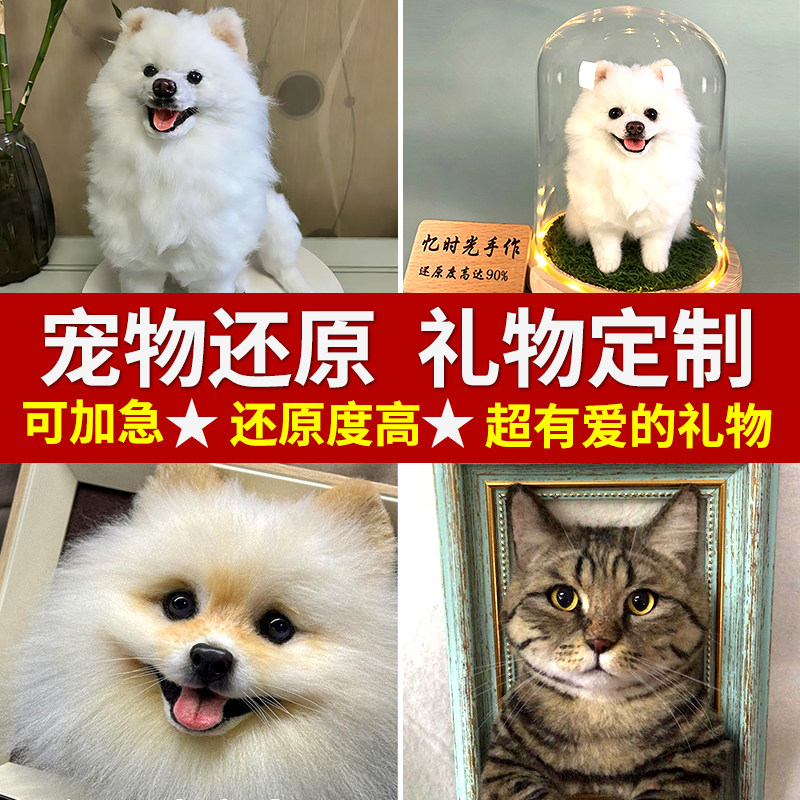 羊毛毡仿真宠物定制纪念离去世玩偶戳戳乐猫咪狗狗相框生日礼物