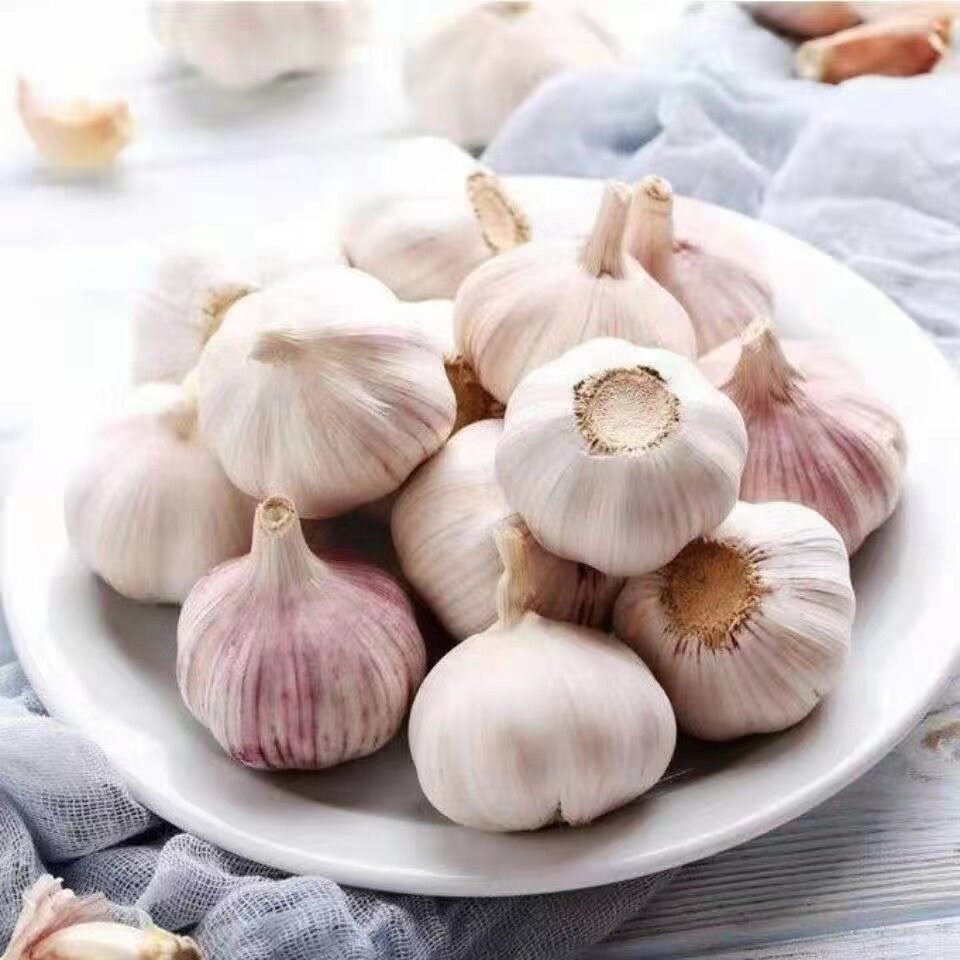山东原产地直发大蒜当季大蒜头干货炒菜调味辛辣味浓郁