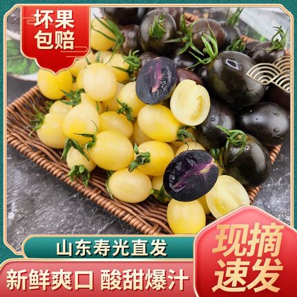 山东新鲜黑白小番茄组合黑珍珠+白妃小番茄 黑金双色圣女营养美味