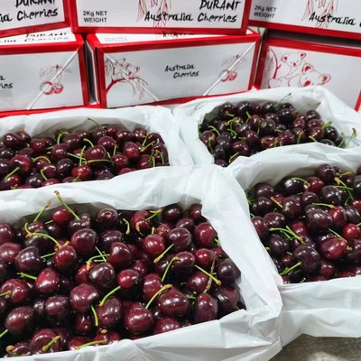 澳洲非新西兰红樱桃礼盒装