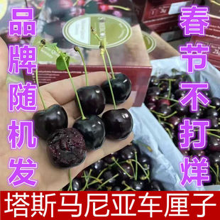 二天发货澳洲车厘子塔斯马尼亚科迪亚小黑箱升级版水果品牌随机
