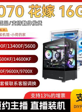 春节保价 盈通9070GRE/9070花嫁/9070XT/14490/9600X/9700X海景房