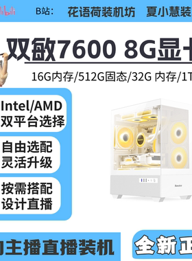 双敏76008G显卡海景房主机
