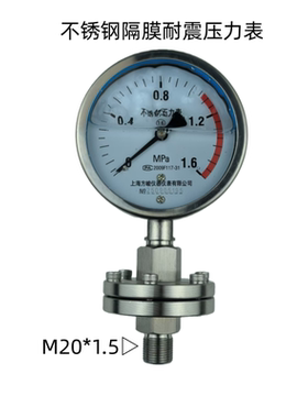 上海仪表不锈钢隔膜压力表耐震压力表法兰连接隔膜式压力表YTP100