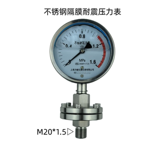 上海仪表不锈钢隔膜压力表耐震压力表法兰连接隔膜式压力表YTP100