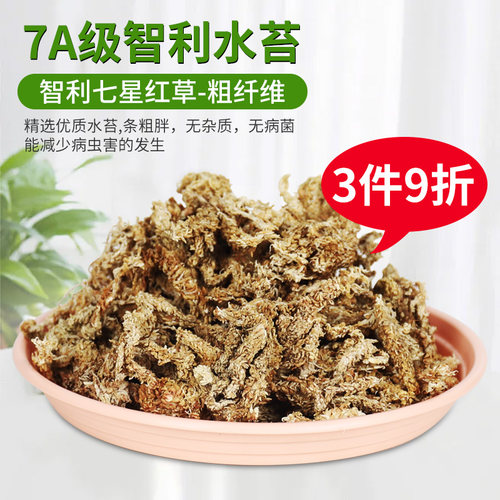 智利进口7星级别水苔3件9折