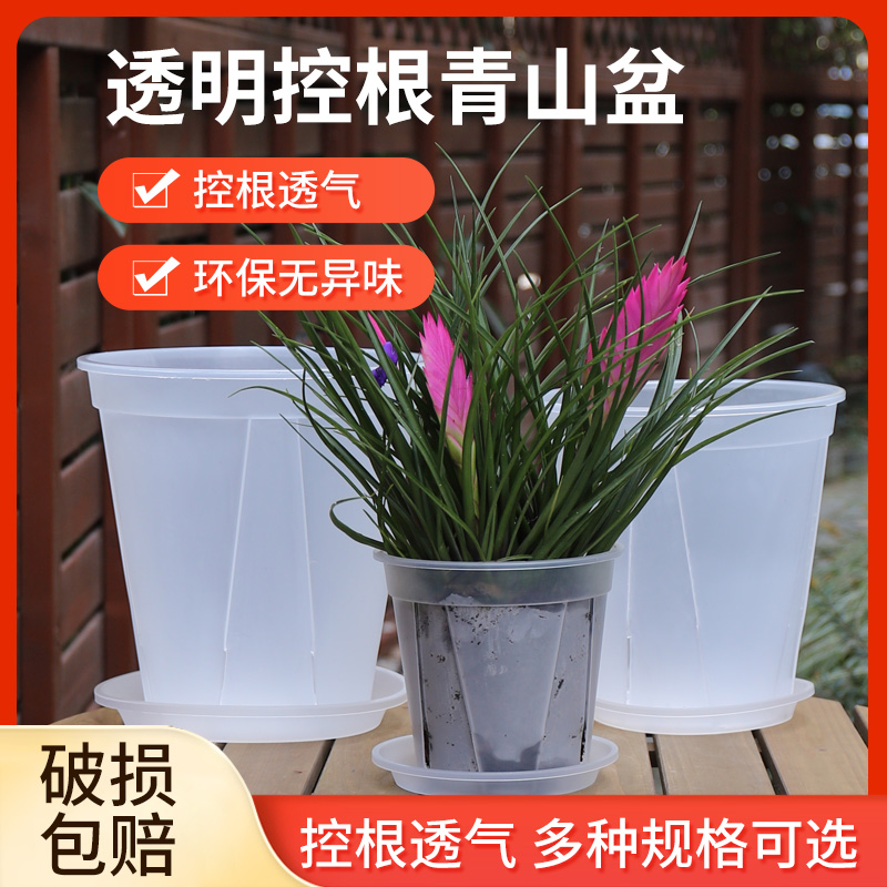 透明控根兰花盆塑料透气加厚热植海芋花烛蔓绿绒专用镂空青山花盆