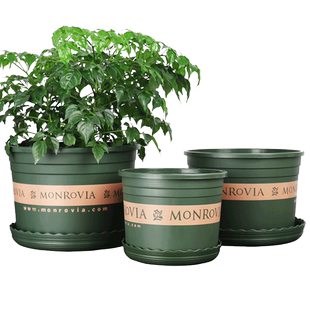 环球加仑盆加厚矮胖加仑花盆绿萝月季多肉大口径清仓特价包邮控根