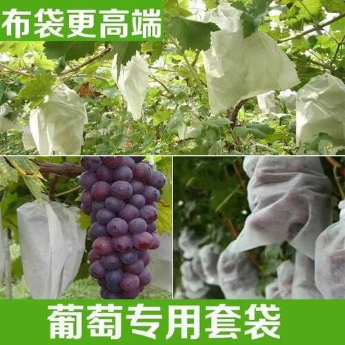 无纺布葡萄套袋防虫防鸟防雨水果网袋水果透气保护套袋