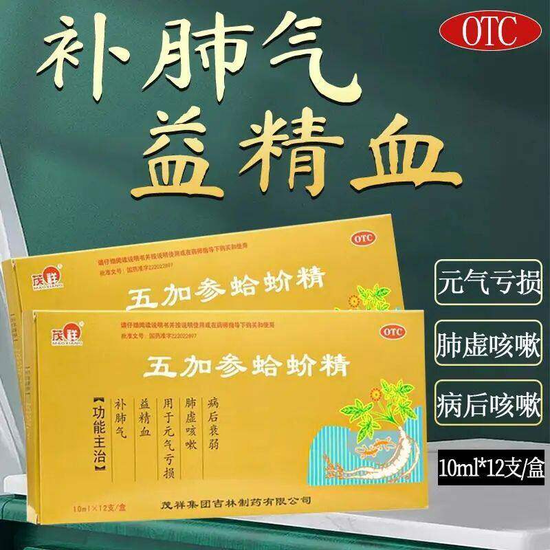 茂祥 五加参蛤蚧精 10ml*12支/盒补肺气益精血肺虚咳嗽元气亏损