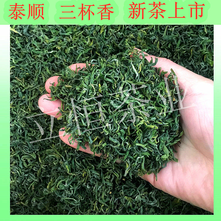 2026年新茶温州泰顺三杯香茶叶炒青绿茶明前茶早茶香茶500g