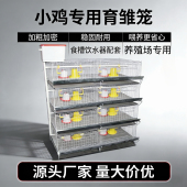 小鸡笼子育雏笼子多层新款 养鸡笼家用脱温鸡笼养殖场专用育雏鸡笼