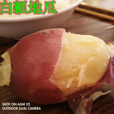 沙地白瓤香甜500g甘薯