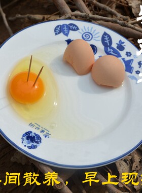 密云农家新鲜柴鸡蛋 山林散养笨鸡蛋 自然觅食土鸡蛋20枚现捡