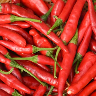 密云农家朝天椒 小辣椒望天椒 小米椒 红辣椒 川很辣 干辣椒 300g