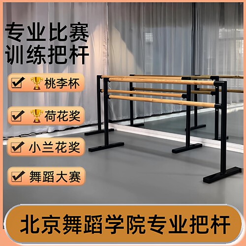 辰东双层移动舞蹈把杆舞蹈房家用