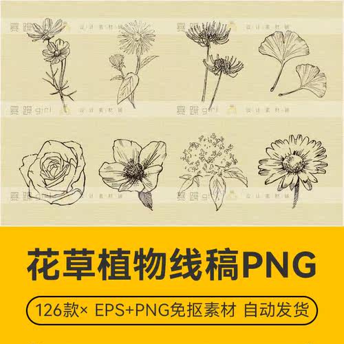 国风中式板画植物花草线稿插手绘PNG免抠高清 设计师排版电商素材