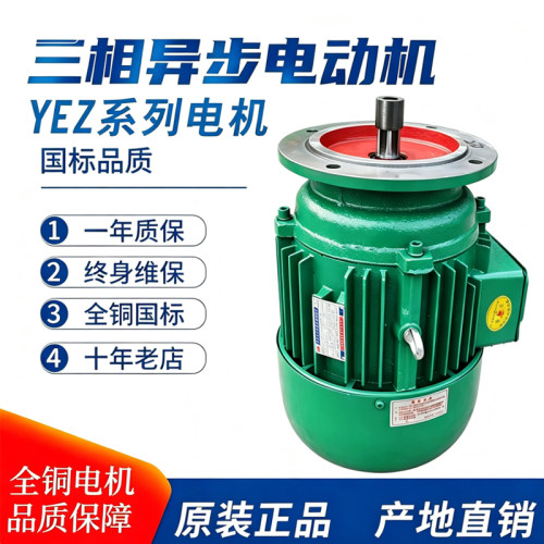 河南真牛YEZ电机3.0kw4.5KW