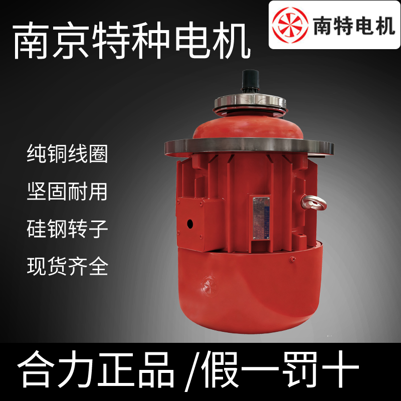 电动葫芦主起升电机南京特种电机原装南京总厂ZD系列三相异步电机
