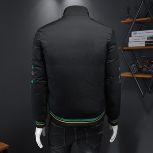 90%白鸭绒2024新款男士立领羽绒服钱塘6016-F9199P290图片