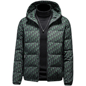 2022男连帽90%白鸭绒羽绒服钱塘6016-F6602P290图片